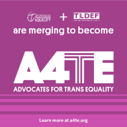NCTE and TLDEF are merging to become A4TE