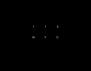113 NYC